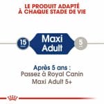 CROQUETTE CHIEN MAXI ADULT 15 KG - SEC POUR CHIEN - Mr Bricolage : Outillage, Jardinage, Animalerie, Electricité